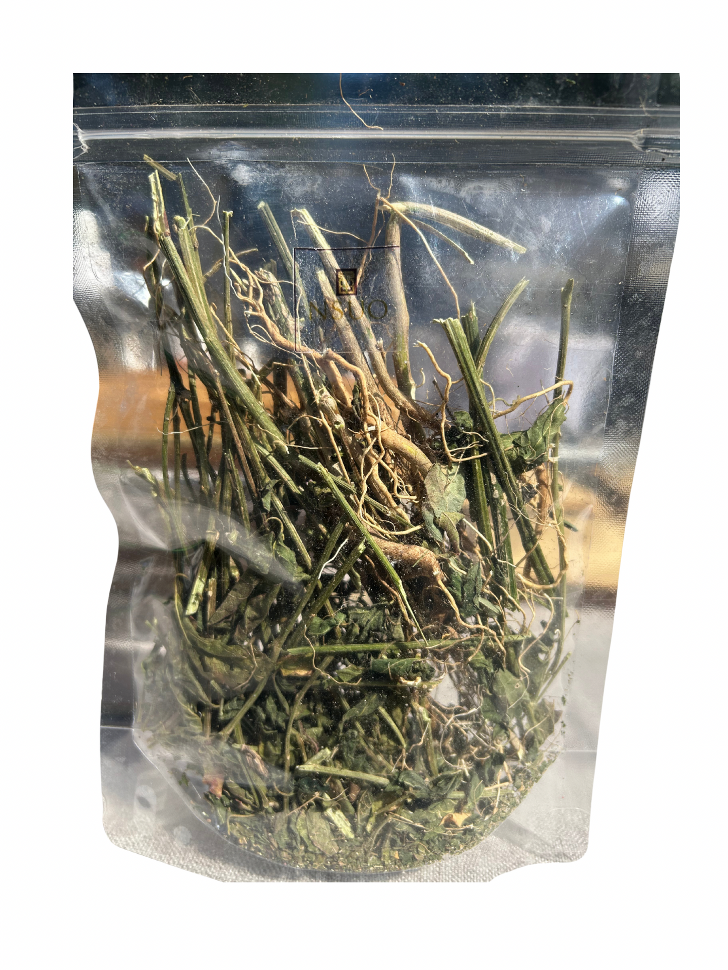 Limited Item- Wild Jamaican Dog Blood bush